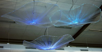 Jellylights in het Reeshof zwembad
